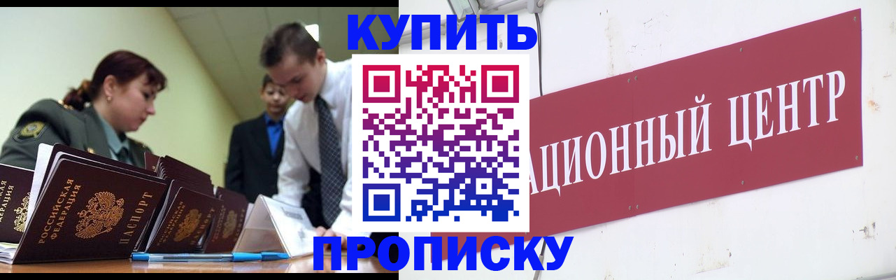 прописка поиск в Бородино